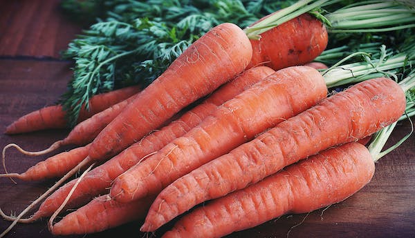 Food for high blood pressure-carrots